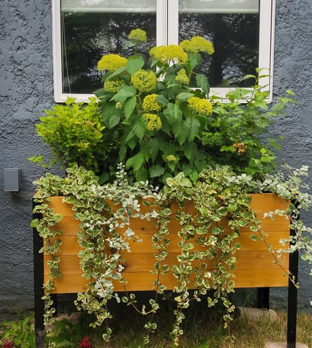 Customer photo review of 18" x 48" Raised Garden Bed - 30" TALL