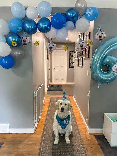 Customer photo review of Personalized Dog Party Pack