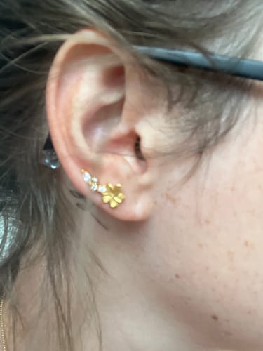Customer photo review of Boucles d'oreilles grimpantes Suzanne