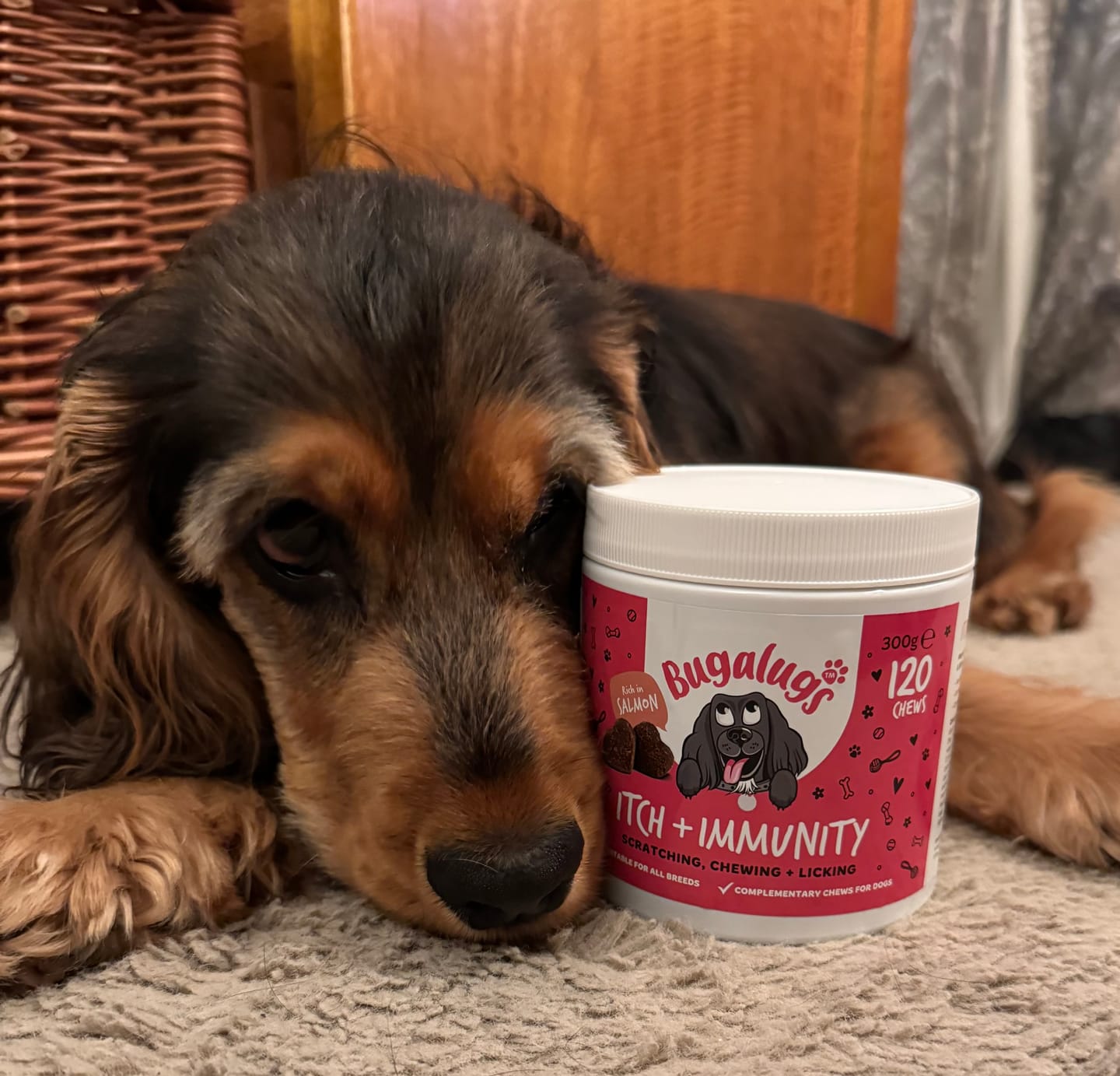 Customer photo review of Itch & Immunity Supplement Chews for Dogs
