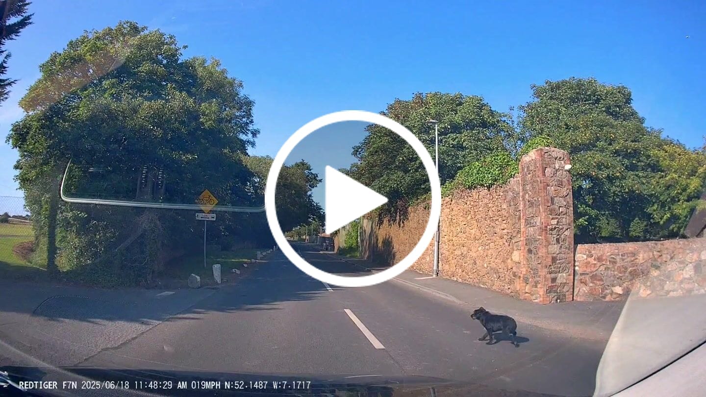 Customer video review of Redtiger F7N/F17 Dash Cam 3M Mount with GPS Module