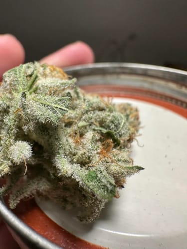 Customer photo review of AVENTUS8 THC-A Flower OG KUSH  3.5g - Hybrid