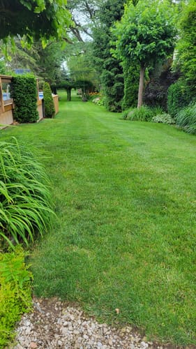 Customer photo review of Par 3 Herbicide Lawn Weed Killer 4L