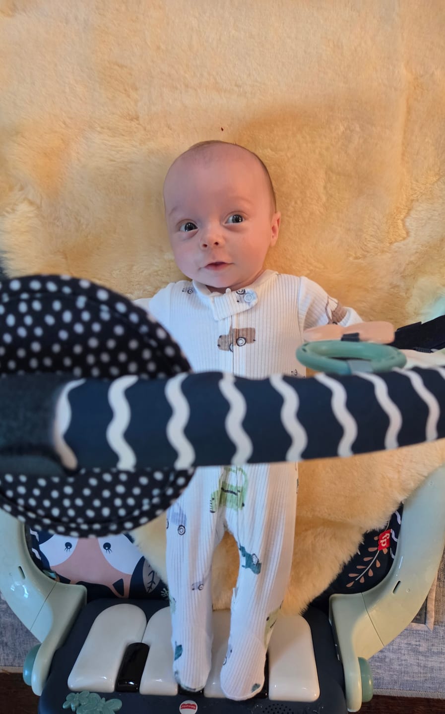 Customer photo review of Sheepskin Rug for Babies, 100% Natural, Shorn Lambskin Wool, 2 x 3 Feet, Flax