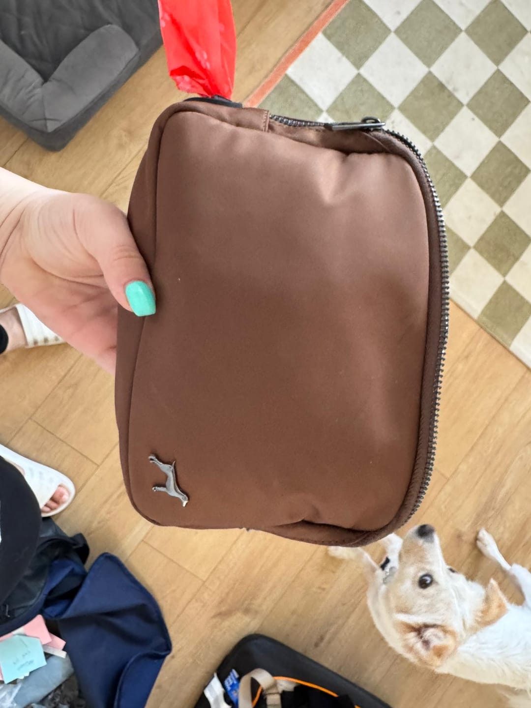 Customer photo review of Daily Belt Bag