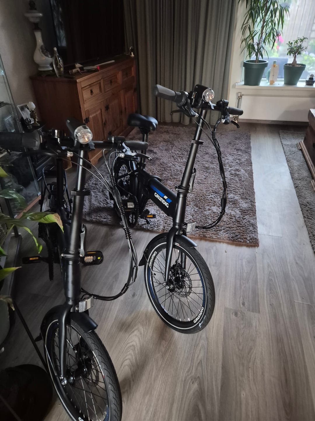 Customer photo review of GRUNDIG E20 Falt-E-Bike 20''