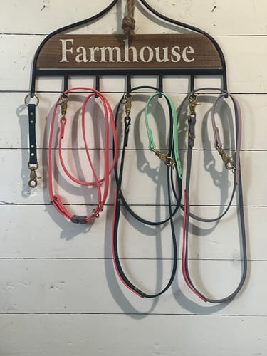 Customer photo review of Biothane Traffic Handle Dog Leash