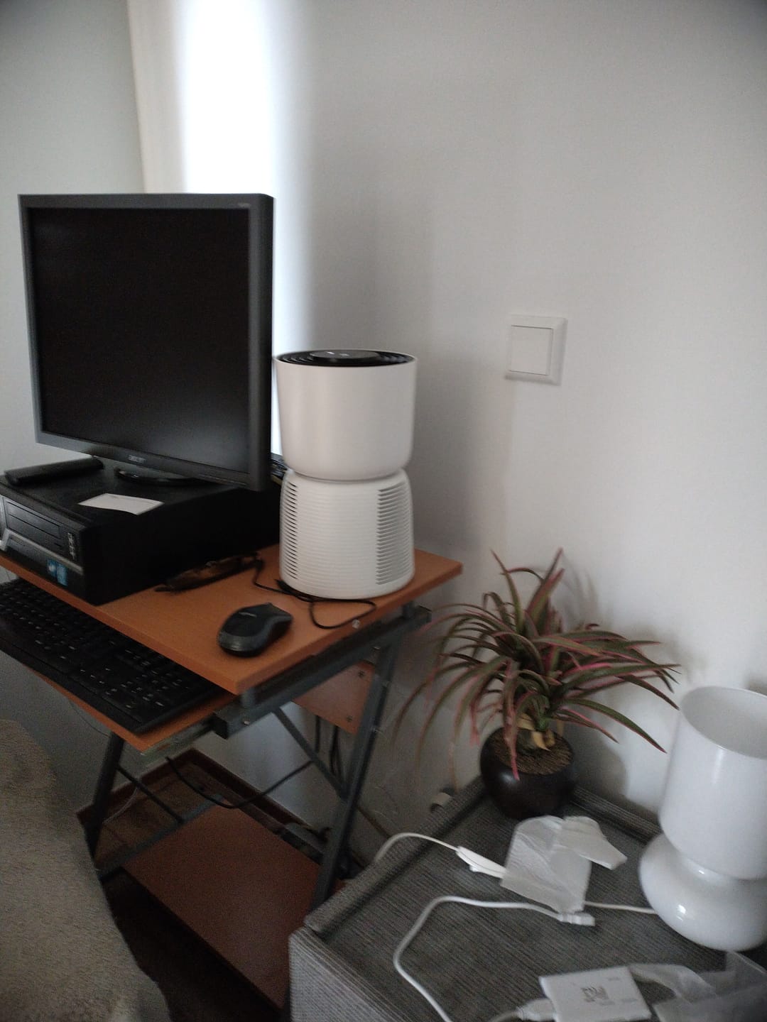 Customer photo review of Luchtreiniger voor mensen met allergieën / H13 HEPA-filter tegen stof, schimmel, pollen, stof en geurtjes / Luchtzuiveraar / Met luchtkwaliteitsindicatielamp