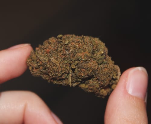 Customer photo review of Wedding Cake