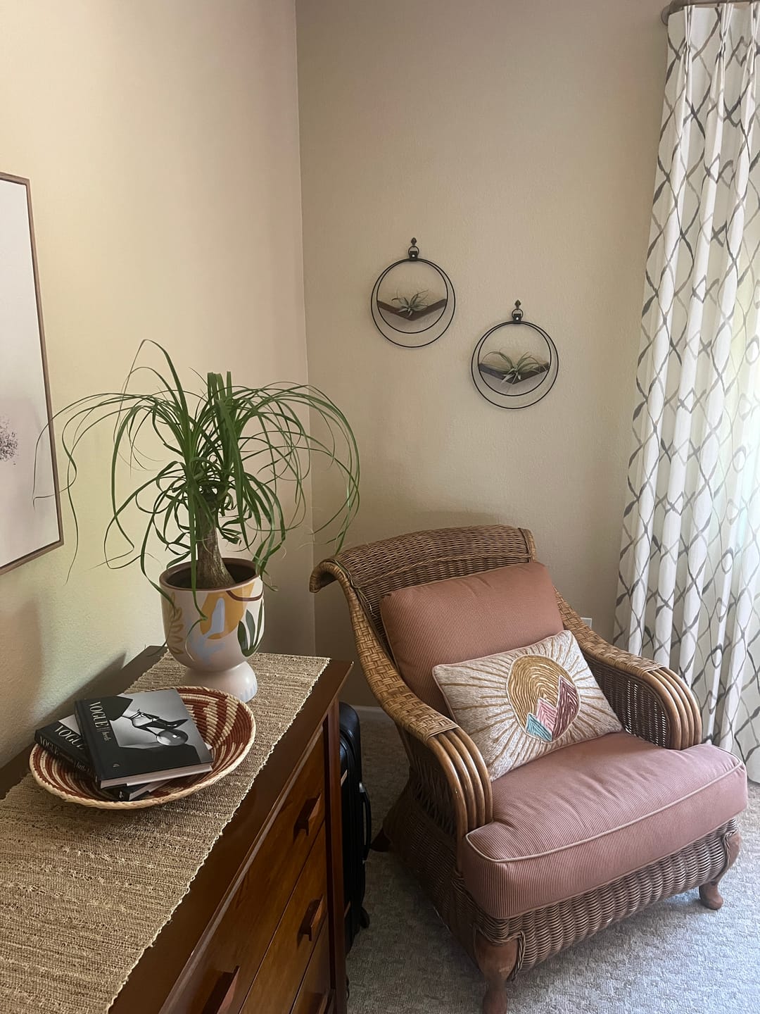 Customer photo review of Air Plant V-Hanger Duo