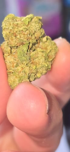 Customer photo review of AVENTUS8 THC-A FLOWER Ice Cream Cake 10G