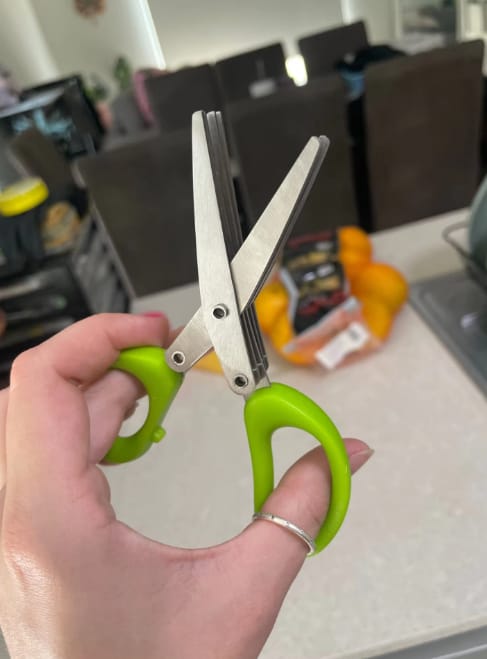 Customer photo review of Multiblades Kitchen Scissors