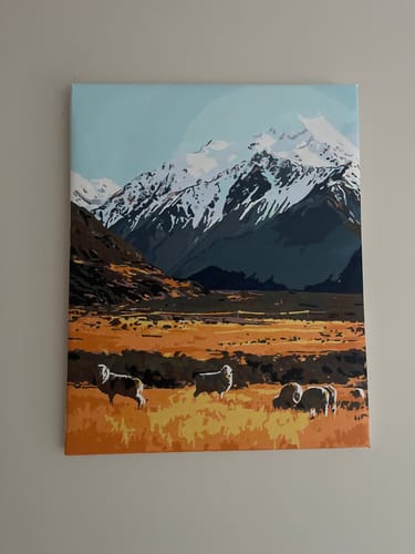 Customer photo review of High Country Merinos