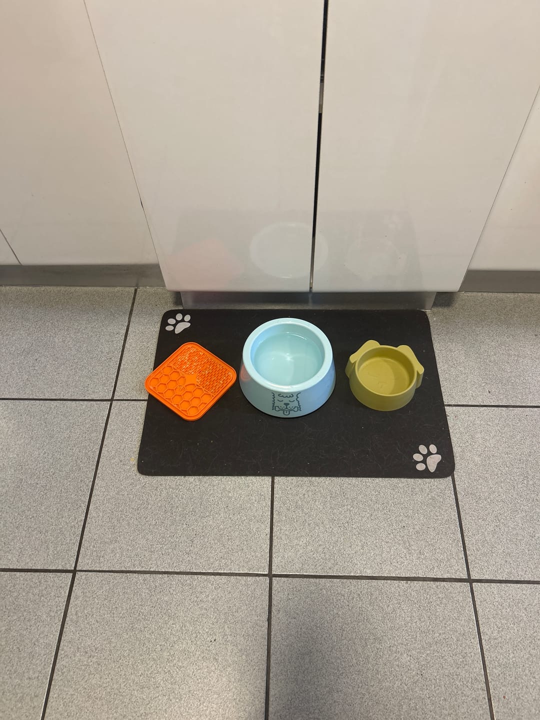 Customer photo review of Mat Absorbente para alimentación