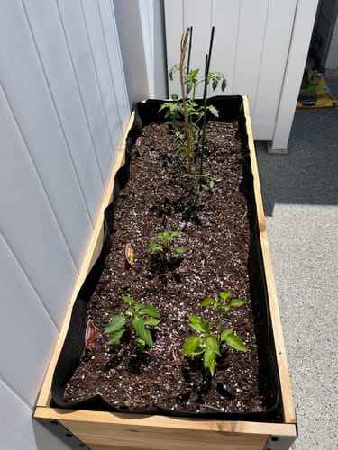 Customer photo review of 18" x 48" Raised Garden Bed - 30" TALL
