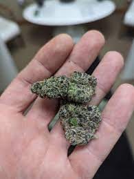 Customer photo review of AVENTUS8 THC-A FLOWER Ice Cream Cake - 3.5g - Indica