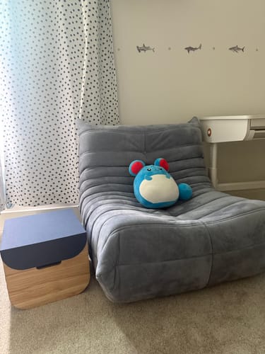 Customer photo review of Chillax Lounger Sofa Chair