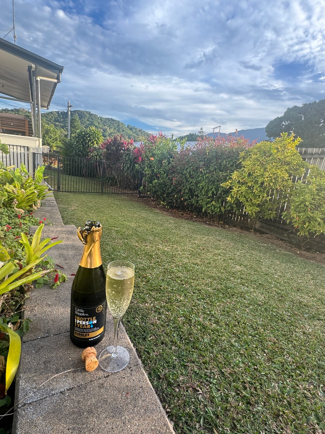 Customer photo review of Sparkling - 6pk