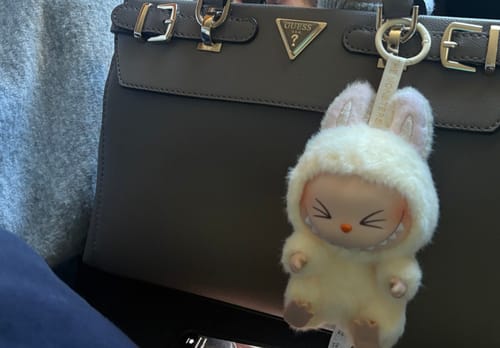 Customer photo review of Pop Mart Labubu The Monsters Have a Seat Vinyl Plush Blind Box