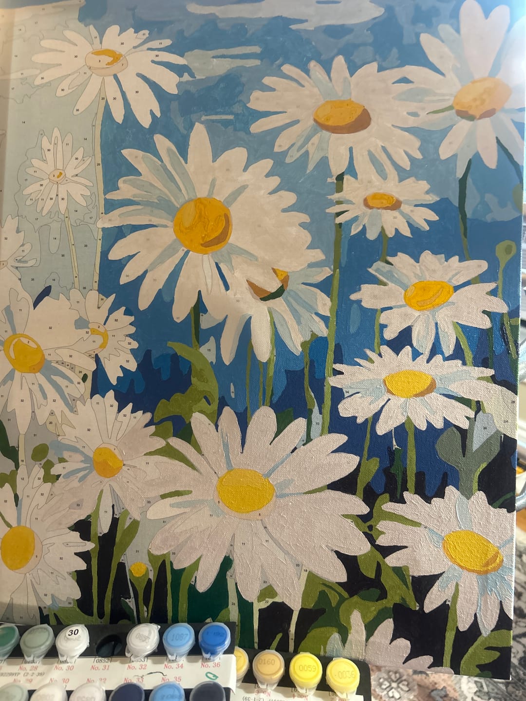Customer photo review of Elysian Daisy Field