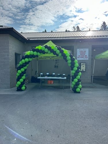 Customer photo review of 10x8 Ft Aluminum Balloon Arch Frame Wedding Arch Stand