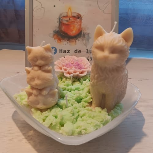 Customer photo review of Cera de Soja para velas en Molde, Pilar y Wax-melts (APF)