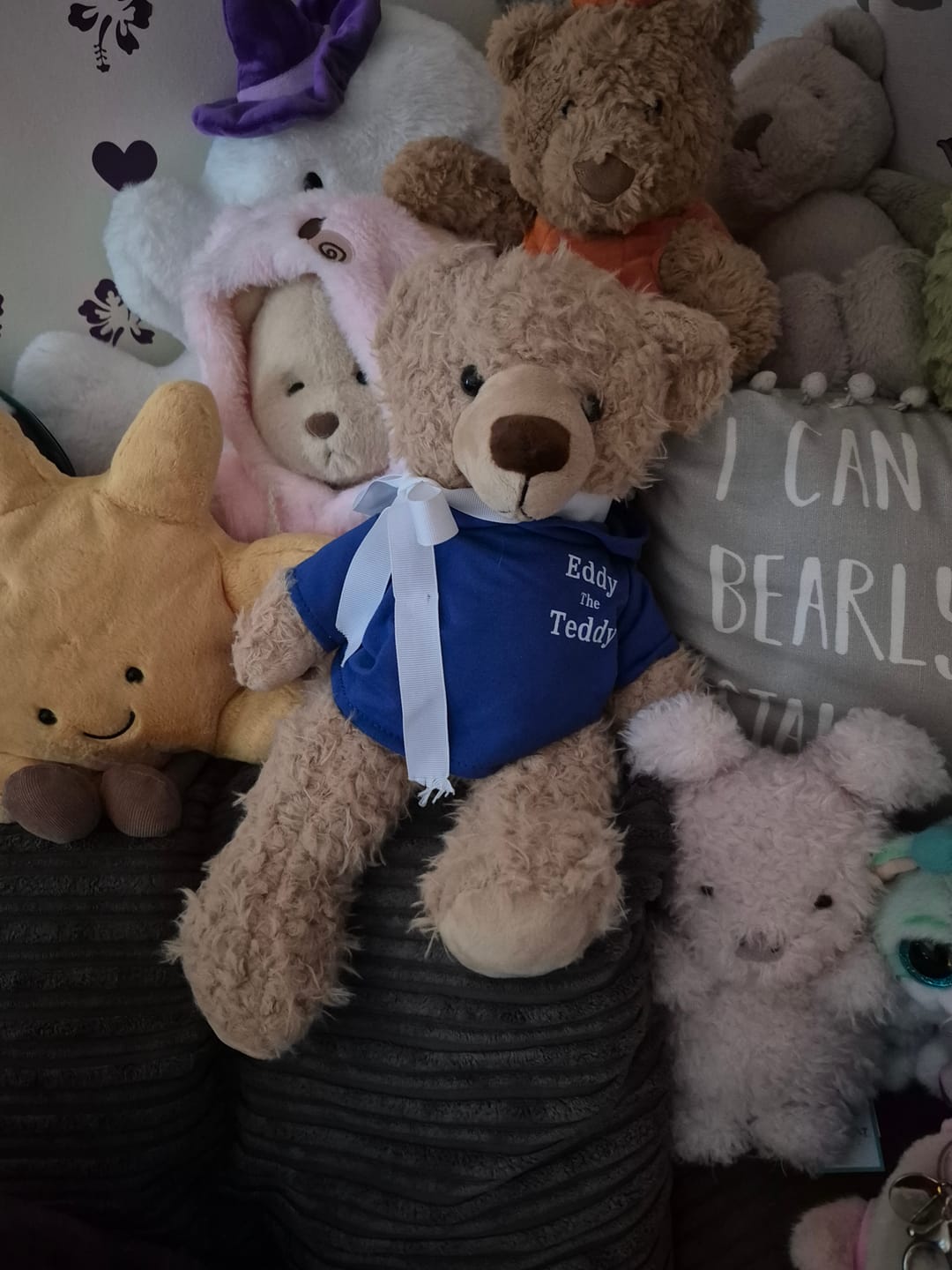 Customer photo review of Eddy The Teddy Bear