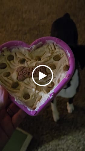 Customer video review of FreezHeart - Durable Heart Enrichment Chew