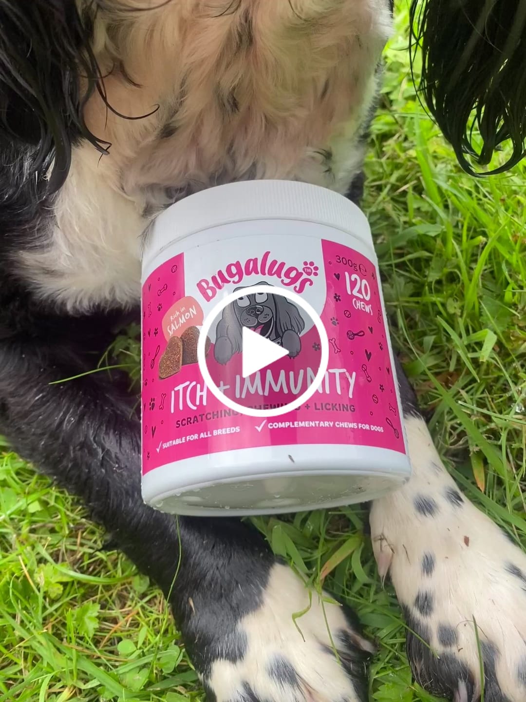 Customer video review of Itch & Immunity Supplement Chews for Dogs