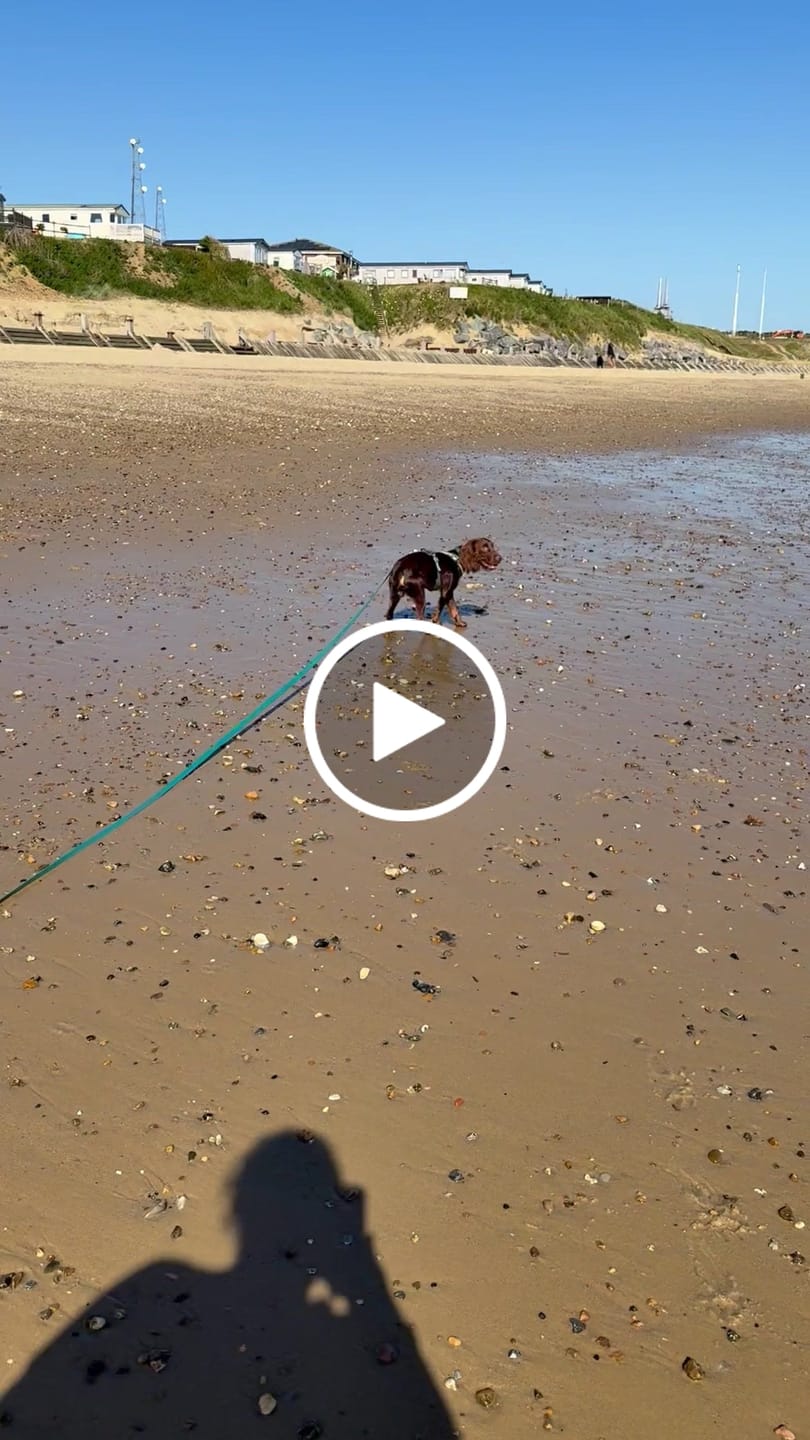 Customer video review of Tidal Waterproof Longline