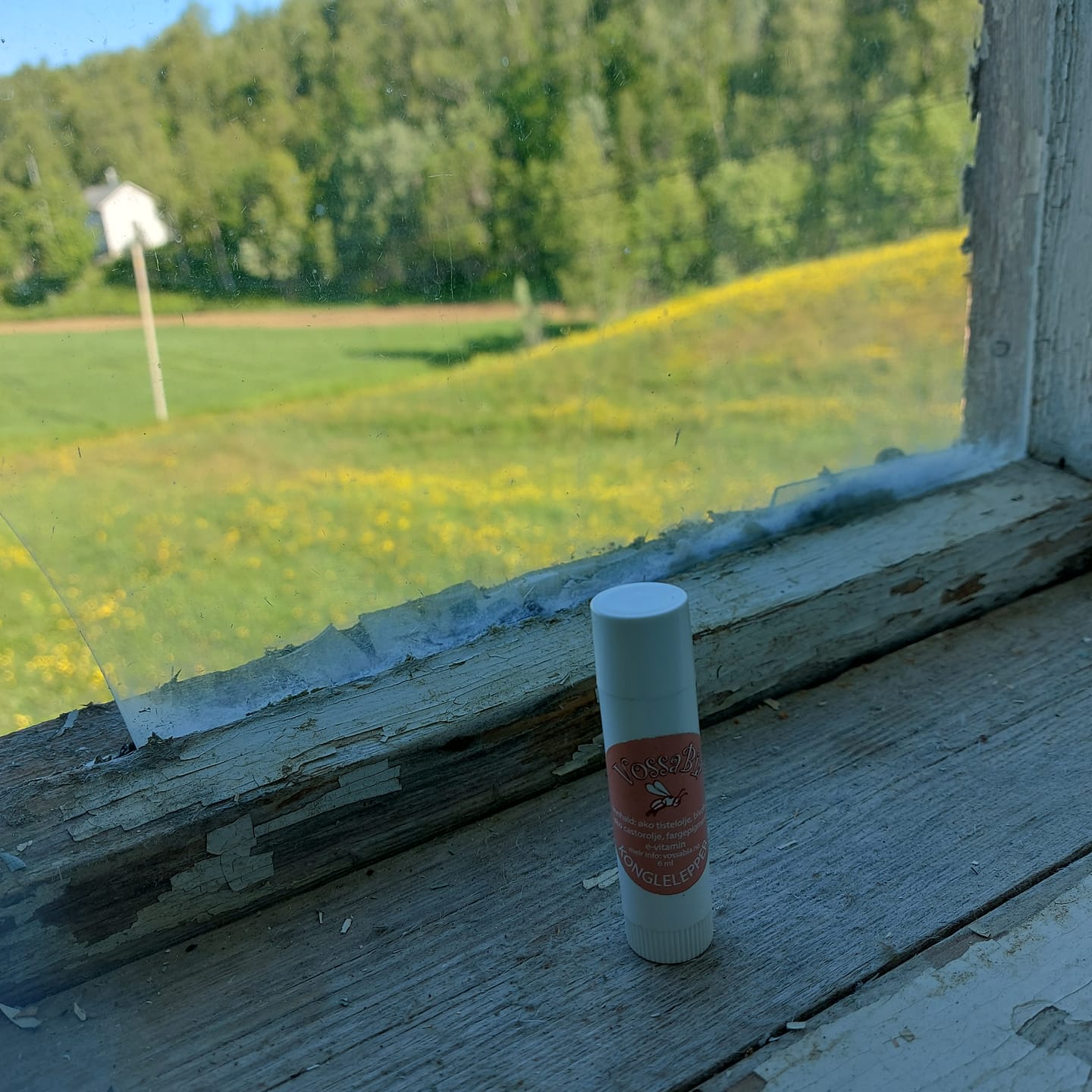Customer photo review of Konglelepper