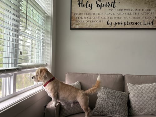 Customer photo review of Holy Spirit You Are Welcome Here Sign VI