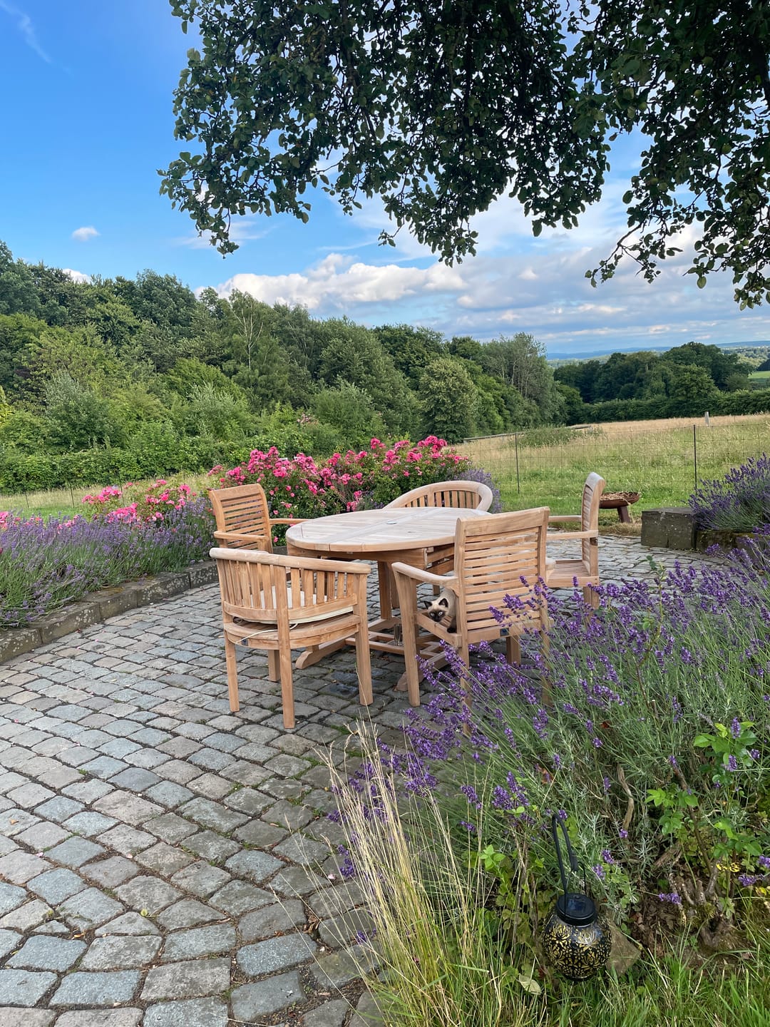 Customer photo review of Teak Gartenmöbel Rund bis Oval 120-170cm Ausziehtisch (4 Stapelstühle 2 San Francisco Stühle ) Inklusive Kissen.
