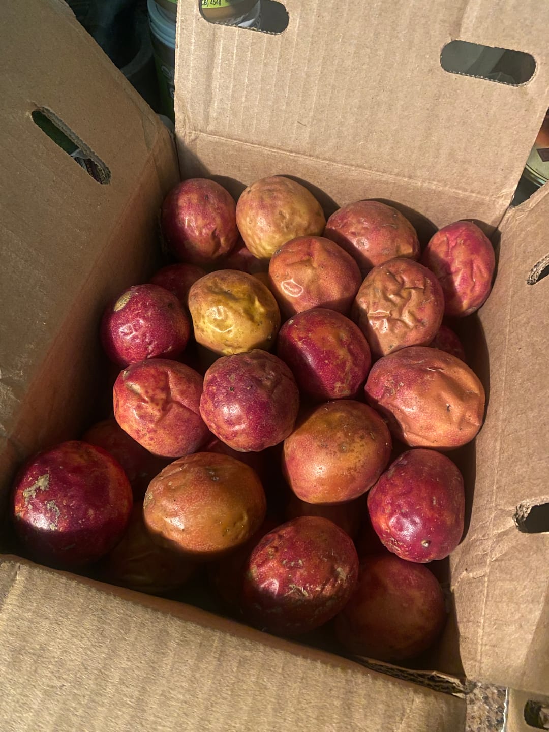 Customer photo review of Purple/Pink Passionfruit (Lilikoi)