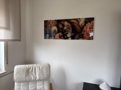 Customer photo review of Acrylglasbild | Löwe schläft in Blüten | Panorama