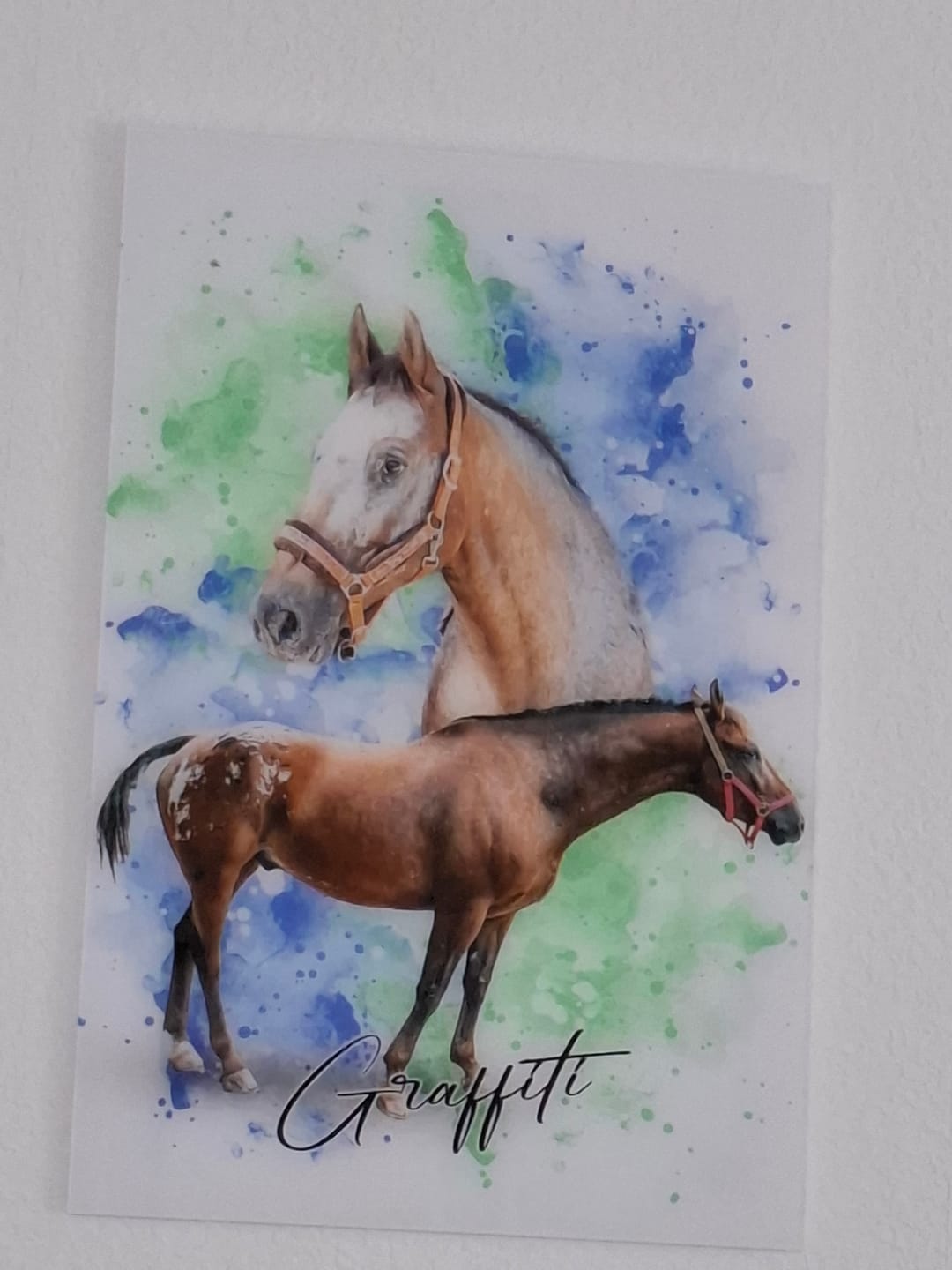 Customer photo review of Tierisches Wasserfarben Portrait