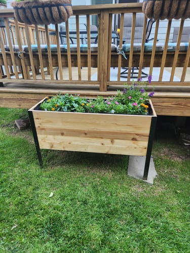 Customer photo review of 18" x 48" Raised Garden Bed - 30" TALL