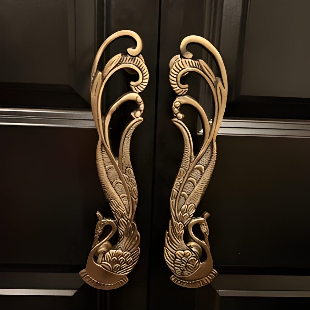 Customer photo review of Brass Peacock Door handle - Antique Brass
