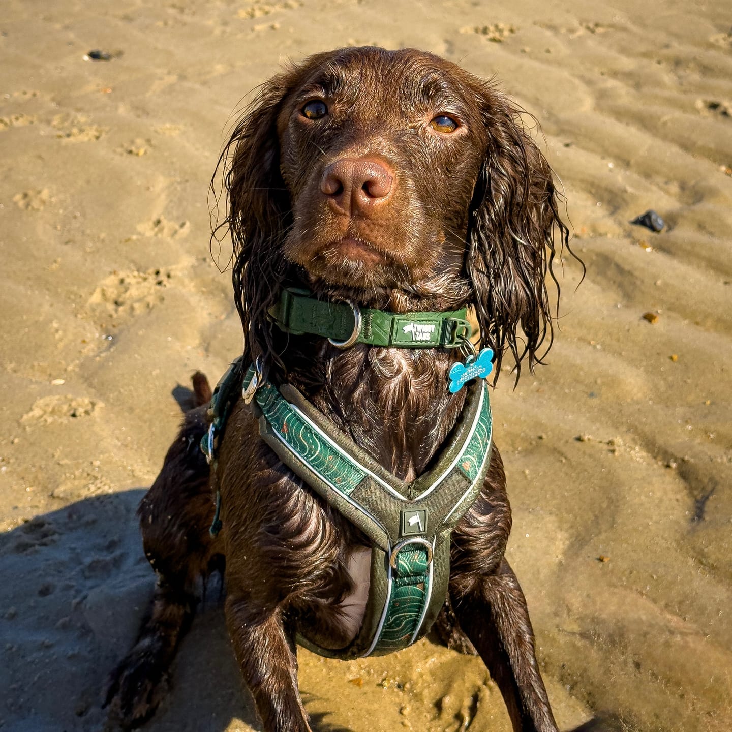 Customer photo review of Tidal Waterproof Collar