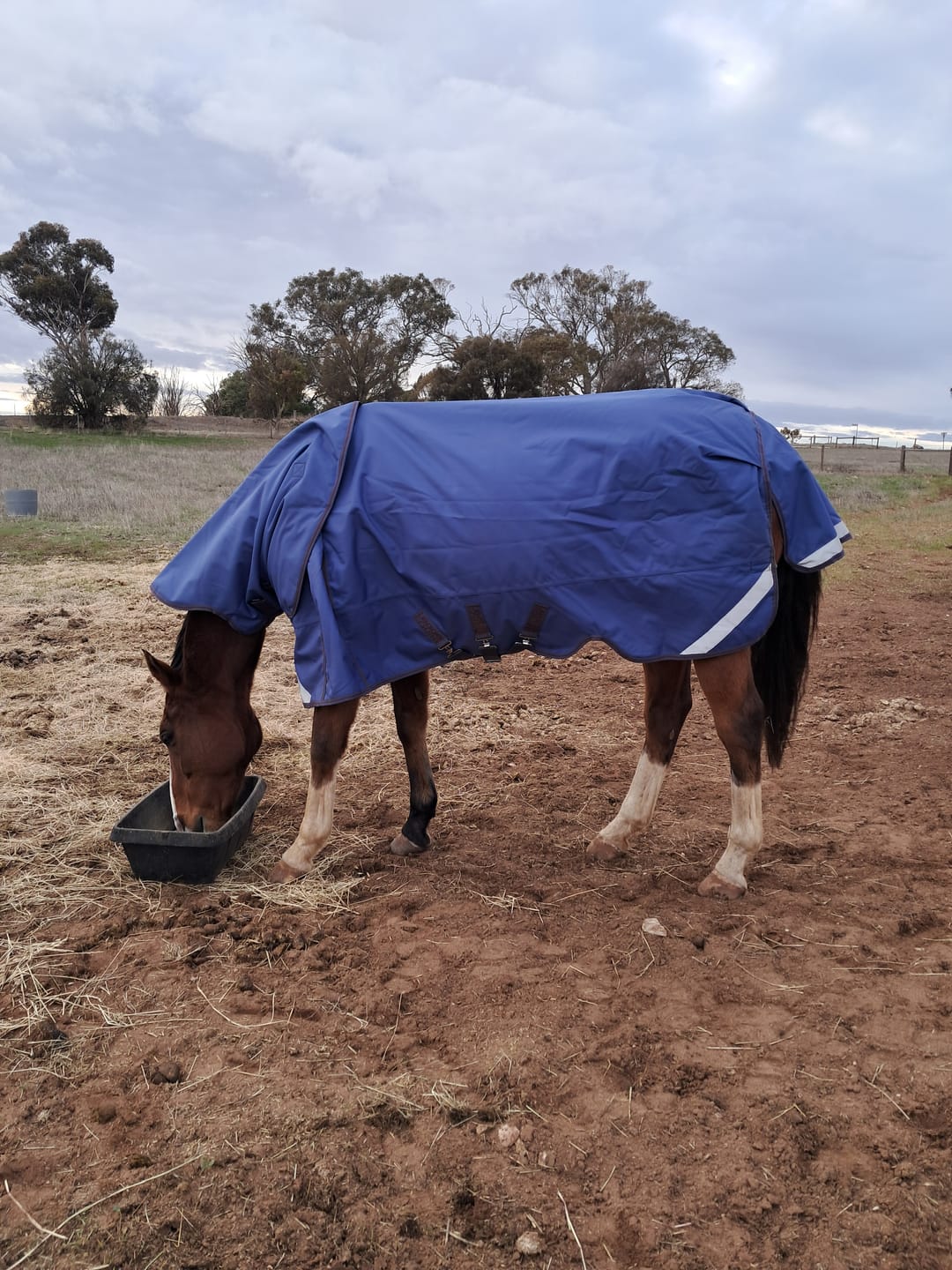 Customer photo review of LE Boxter Turnout 100g