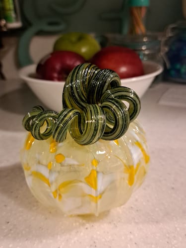 Customer photo review of the Daffodil Pumpkin