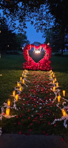 Customer photo review of 6.5ft Party & Hoop Balloon Heart Shape Loop Flower Arch Photo Booth Backdrop Stand Heart Backdrop