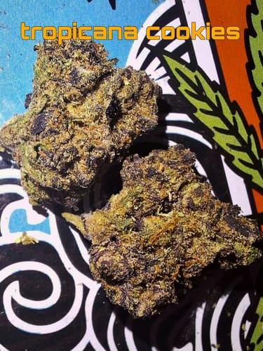 Customer photo review of Cheap THCA Smalls Pound