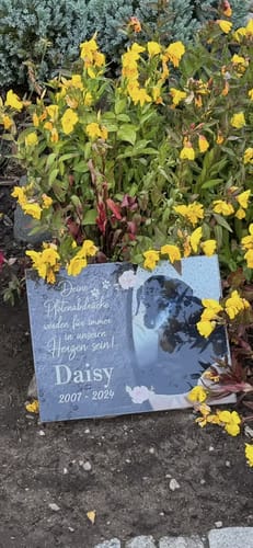Customer photo review of Hunde Gedenktafel mit Foto & Spruch (UV- & Wetterfest)
