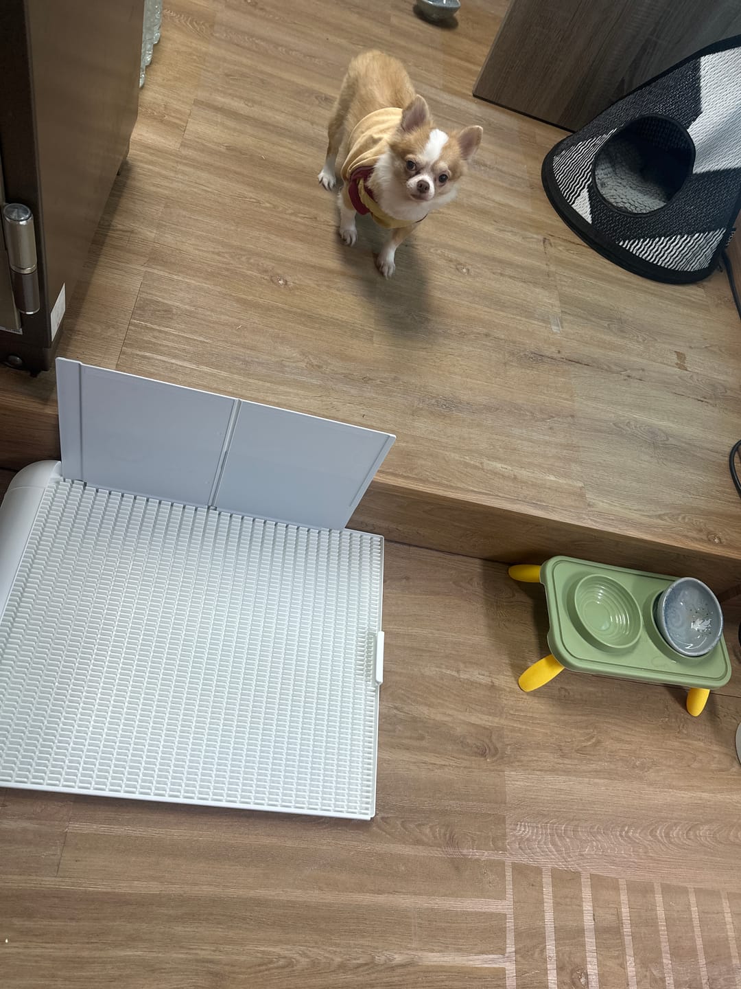 Customer photo review of Extended Protrusion Potty Pad (Size L)