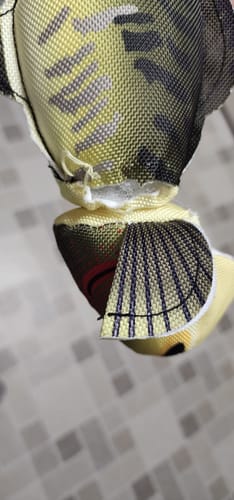 Customer photo review of Fly & Fetch Launching Toys