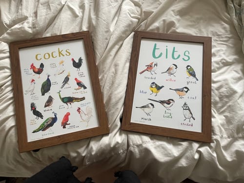 Customer photo review of Tits Art Print - A4