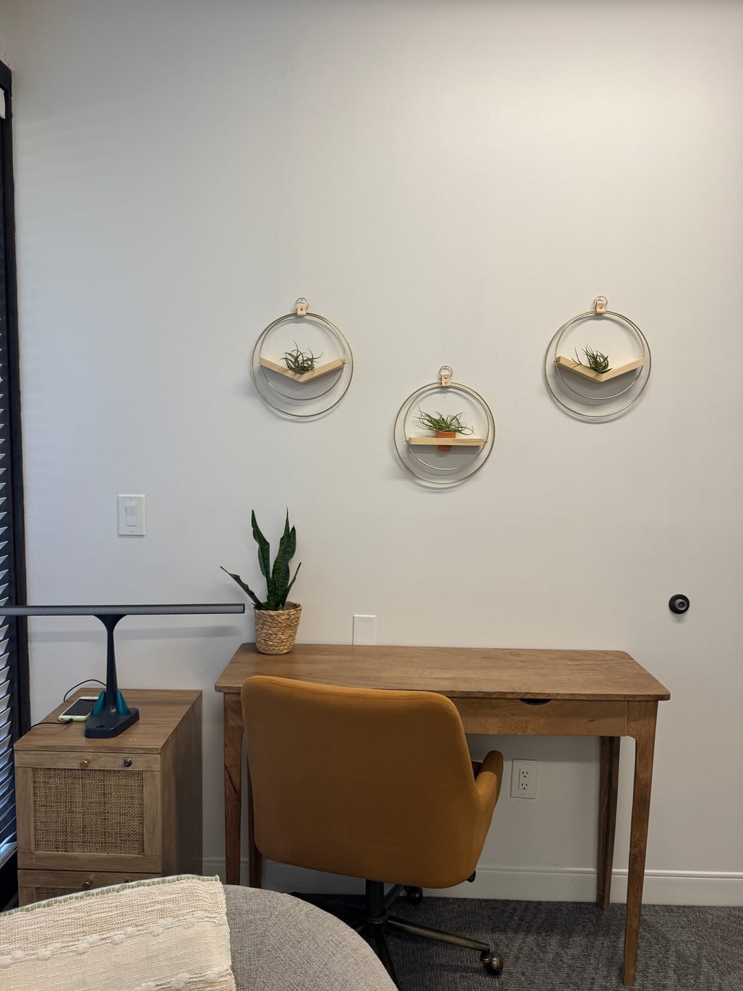 Customer photo review of Air Plant V-Hanger & Shelf Mixed Trio
