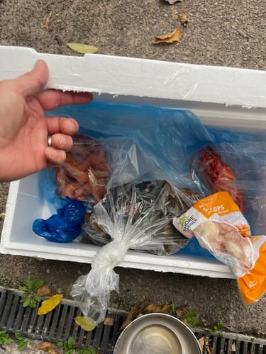 Customer photo review of Seafood Boil-up Bundle