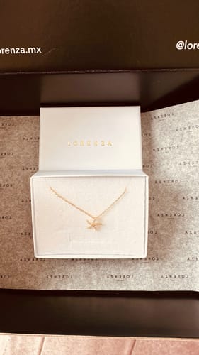 Customer photo review of Collar Con Estrella de Mar Zirconias